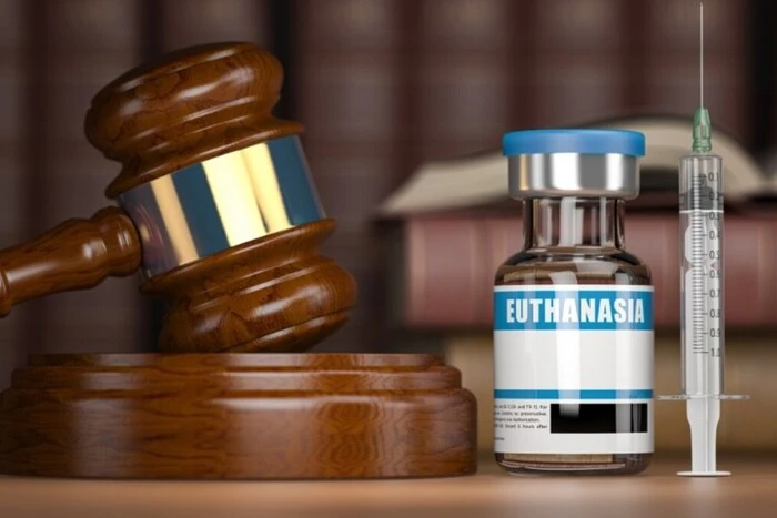 Франция приняла закон о евтаназии для больных