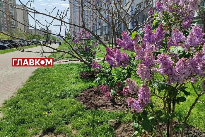 In der Ukraine bewölkt mit Aufhellungen: Wettervorhersage für den 11. Mai