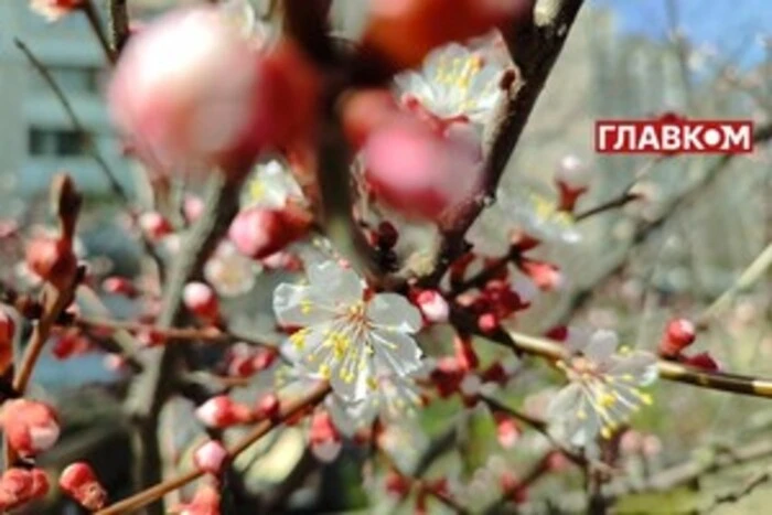 In der Ukraine bewölkt mit Aufhellungen: Wettervorhersage für den 26. Mai