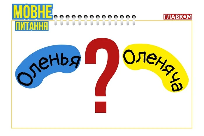 Is it 'Olenya' or 'Olenyacha'? Linguist explains how to write the bizarre names of bombed Russian airbases