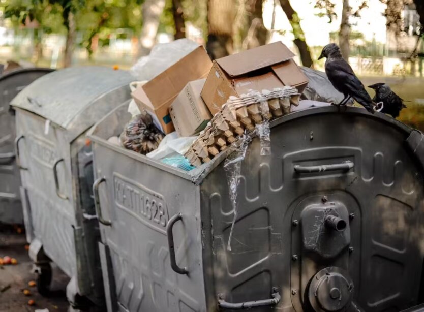 Trash Records: Popenko Revealed How Managing Companies 'Take' Money from Ukrainians