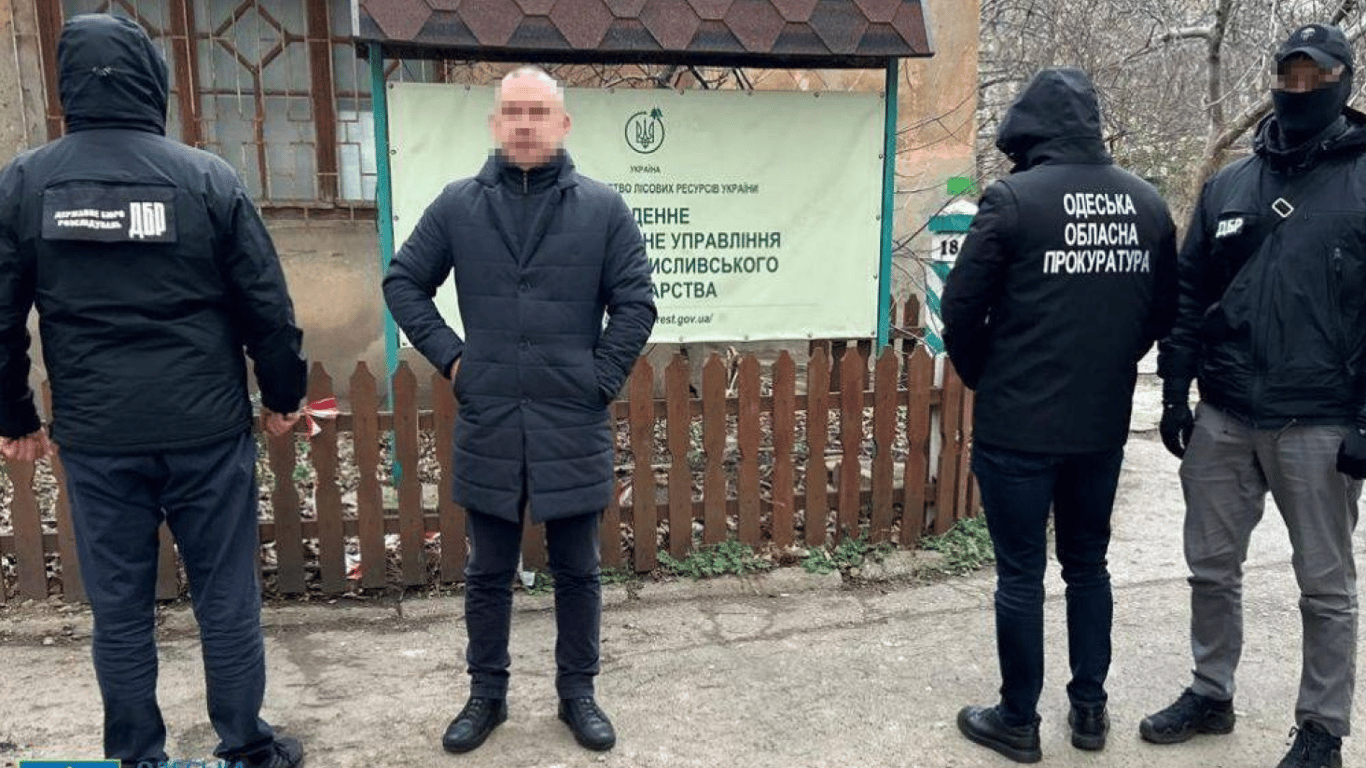 Jägerausweise günstig - In der Region Odessa stehen Beamte vor Gericht