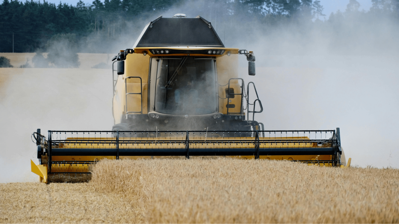 Die Ernte von Getreide im Jahr 2025 - was zu erwarten ist und was mit den Preisen geschehen wird